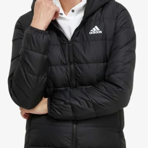 Piumino Full Zip Con Cappuccio Essentials