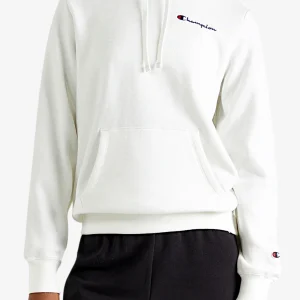 Felpa Con Cappuccio Logo Piccolo Ricamato