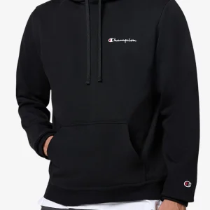 Felpa Con Cappuccio Logo Piccolo Ricamato