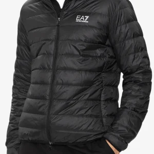 Piumino Full Zip Con Cappuccio Packable Core Identity