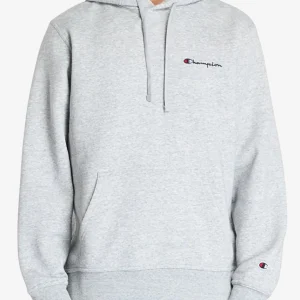 Felpa Con Cappuccio Logo Piccolo Ricamato